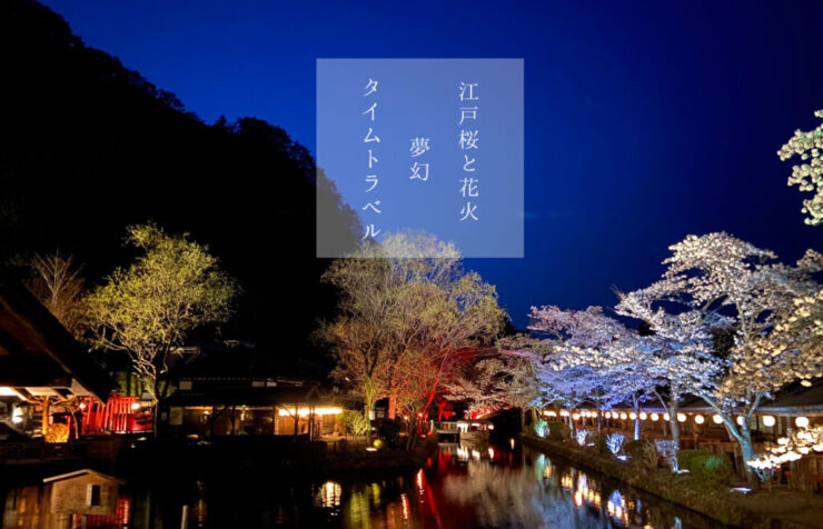 日光江戸村　夜桜会画像
